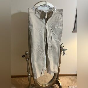 Women's LOFT Tan Trousers